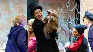 „Und täglich grüßt das Murmeltier“ ist zu sehen