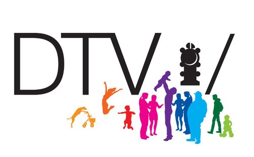 Dorfentwicklung und Traditionsverein Schloß Ricklingen e.V. (DTV e.V.)