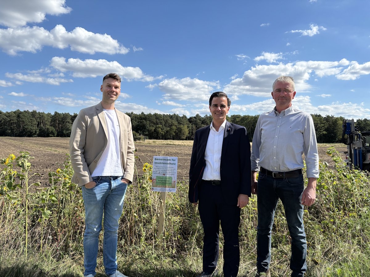 Äcker verwandeln sich in bunte Blühstreifen