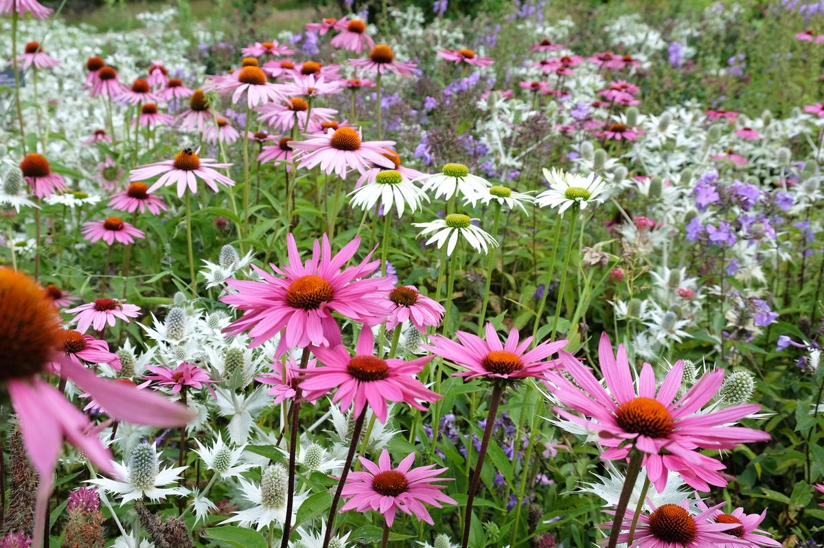 Es summt und brummt in Garbsen!