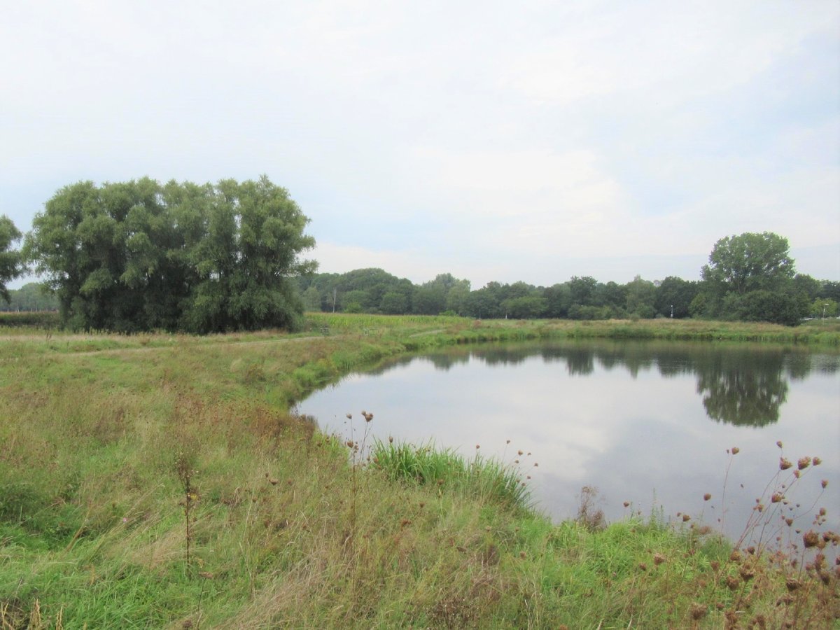 Regenrückhaltebecken: Zäune werden erneuert