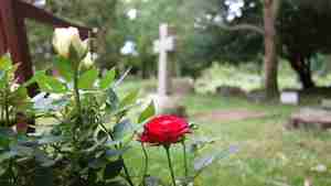 Mäharbeiten haben begonnen
