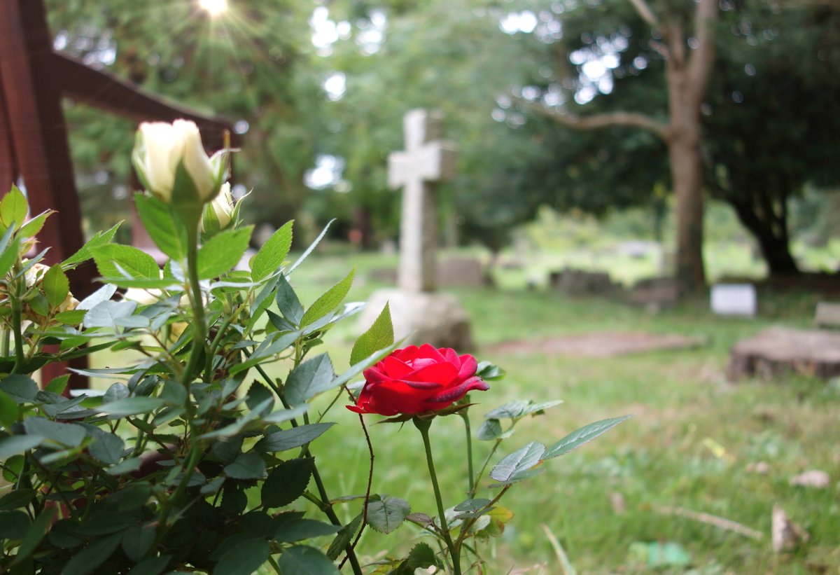 Mäharbeiten haben begonnen