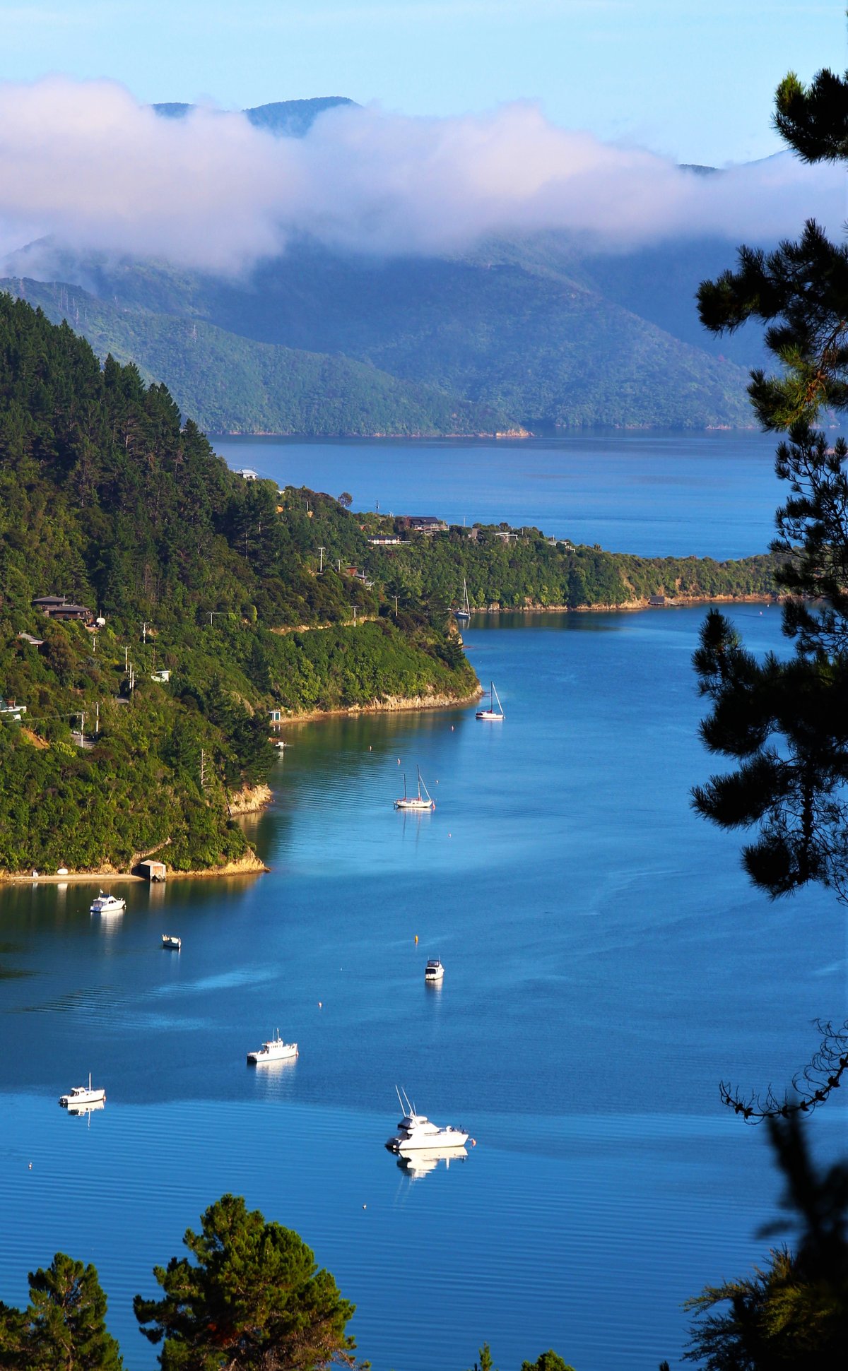 Neuseeland: Reisefotograf zeigt grüne Pazifikinseln