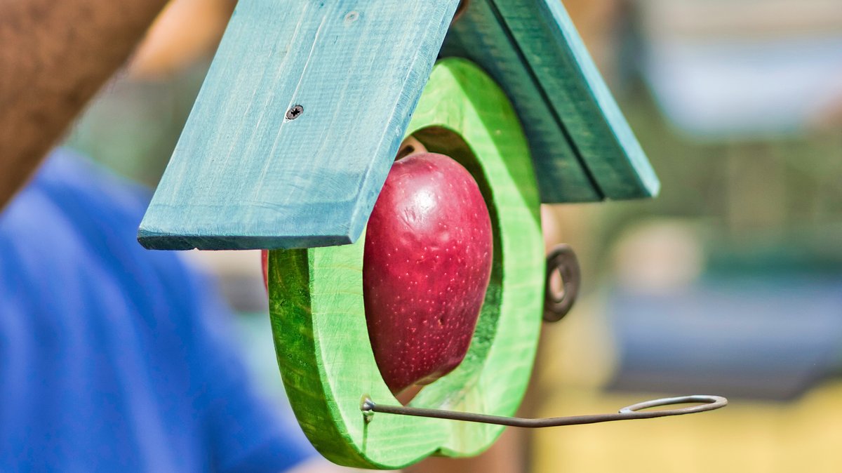 Apfelhaus entsteht: Stadtbibliothek lädt zum Basteln ein